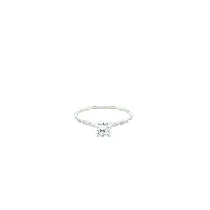 14k White Gold .50ct Round Brilliant Cut Diamond Pave Ring