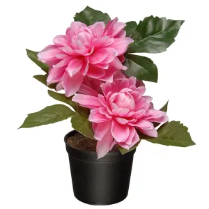 Artificial Potted Flowers, Pink Dahlias, Includes Black Pot Base, Spring Collection, 7 Inches