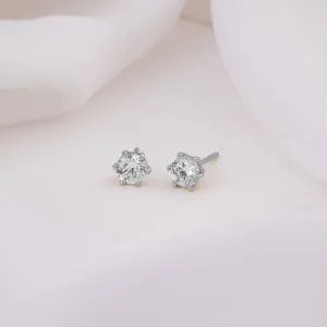 Brilliant Silver Stud Earrings