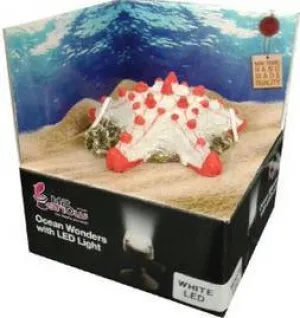 H2SHOW KIT STARFISH DÉCOR-WHITE LED 2w