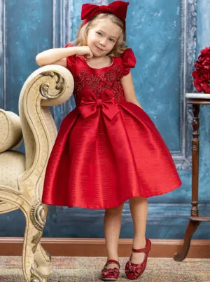 Precious Darling Embroidered Princess Dress